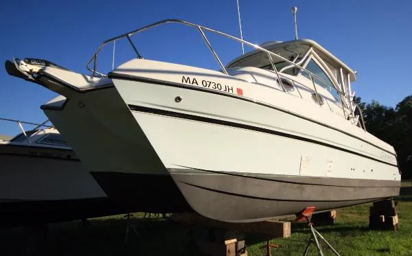 Slide: The Image of Glacier Bay 2770 Cuddy 2012 - 4