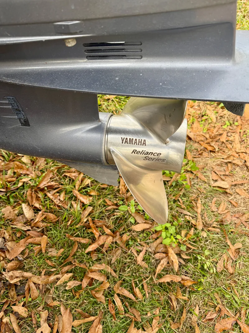 Slide: The Image of Carolina 218 DLV 2011 - 11