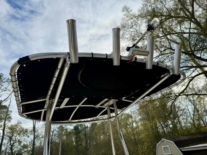 Slide: The Image of Carolina 218 DLV 2011 - 6