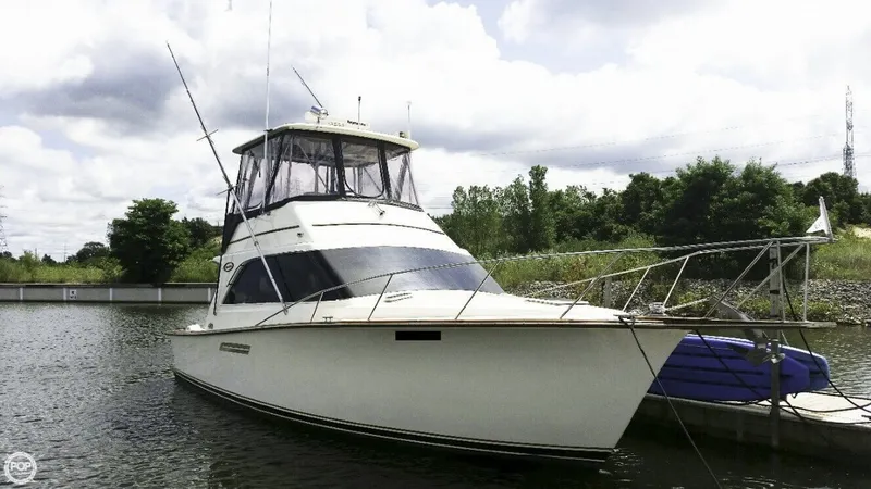 Slide: The Image of Ocean 38 SS 1990 - 1