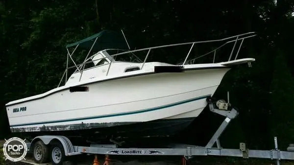 Slide: The Image of Sea Pro 235 WA 2002 - 1