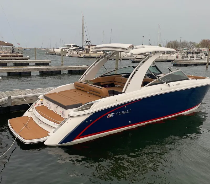 The Image of Cobalt R 30 2023 - 0