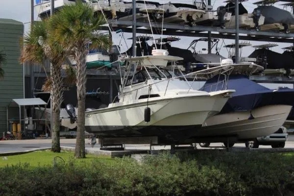 Slide: The Image of Boston Whaler Walkaround 1992 - 0