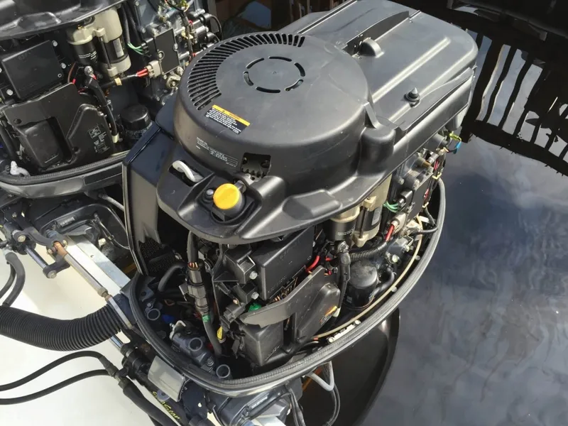 Slide: The Image of Hydra-Sports Vector 2500 VX 2005 - 10