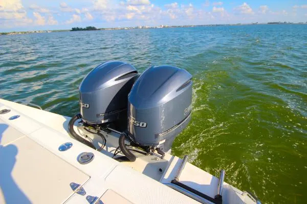 Slide: The Image of Stamas 290 Tarpon 1999 - 5