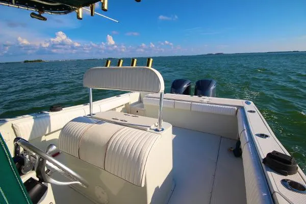 Slide: The Image of Stamas 290 Tarpon 1999 - 8