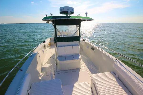 Slide: The Image of Stamas 290 Tarpon 1999 - 9