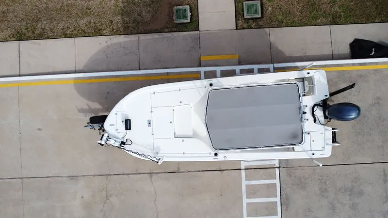 Slide: The Image of Sea Born FX22 Bay 2017 - 19