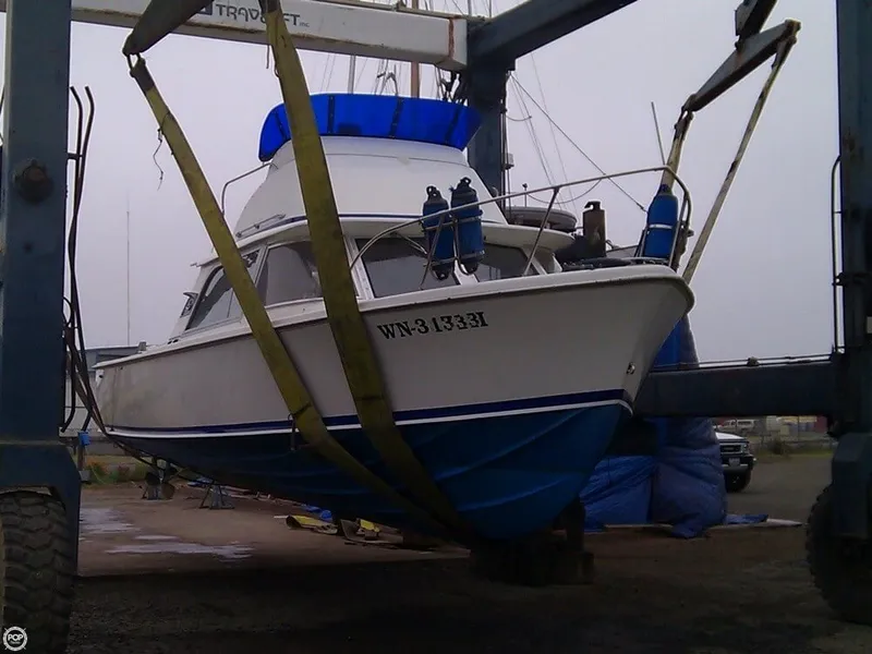 Slide: The Image of Bertram 31 Sport Fisher 1962 - 1