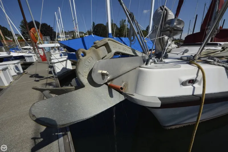 Slide: The Image of Morgan 33 Out Island 1975 - 9