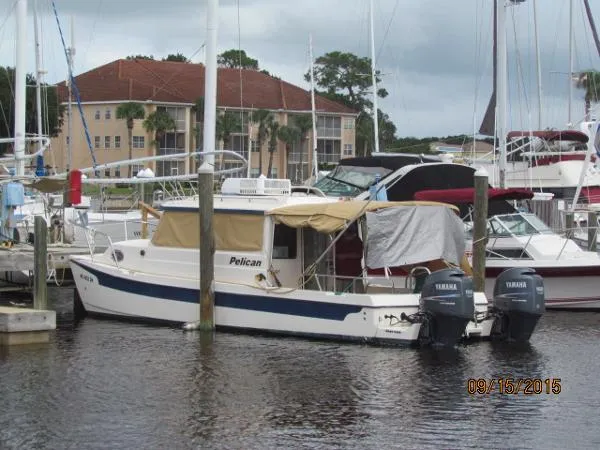 Slide: The Image of C Dory Tom Cat 2007 - 2