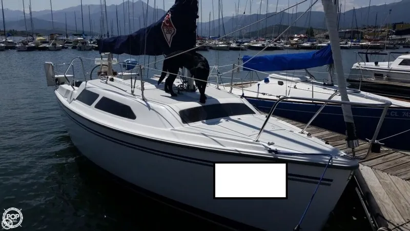 Slide: The Image of Catalina 250 2006 - 5