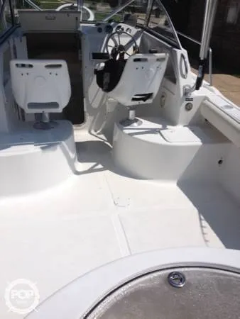 Slide: The Image of Sea Fox 236 Walk Around 2006 - 8