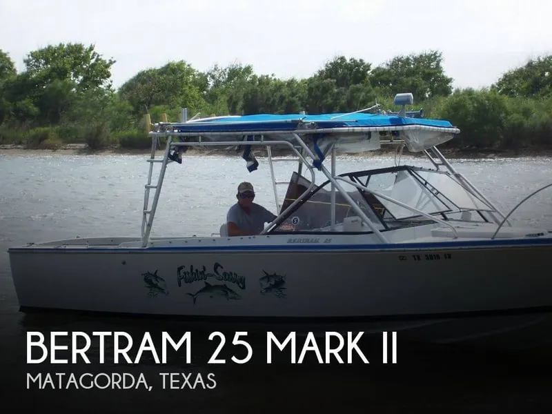 Slide: The Image of Bertram 25 Mark II 1968 - 0