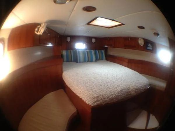 Slide: The Image of Bruce Roberts Norfolk 43 1986 - 9