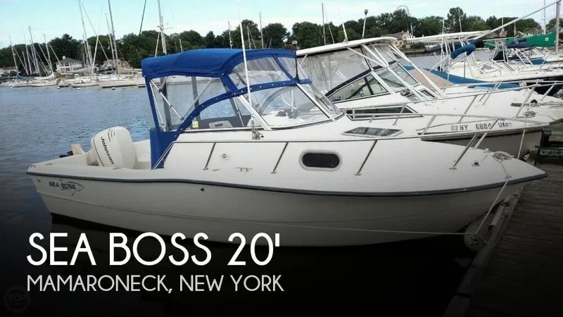 Slide: The Image of Sea Boss 200 Walkaround 2004 - 0