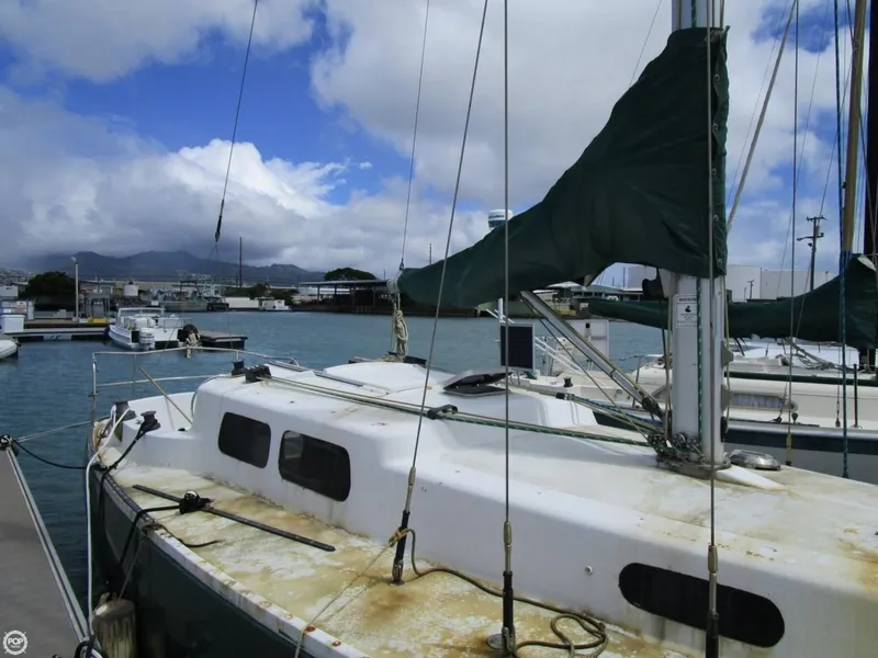 Slide: The Image of Albin Singoalla 33 1970 - 11