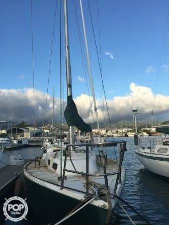 Slide: The Image of Albin Singoalla 33 1970 - 2