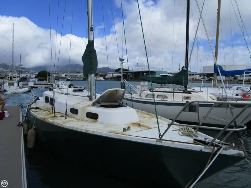 Slide: The Image of Albin Singoalla 33 1970 - 3