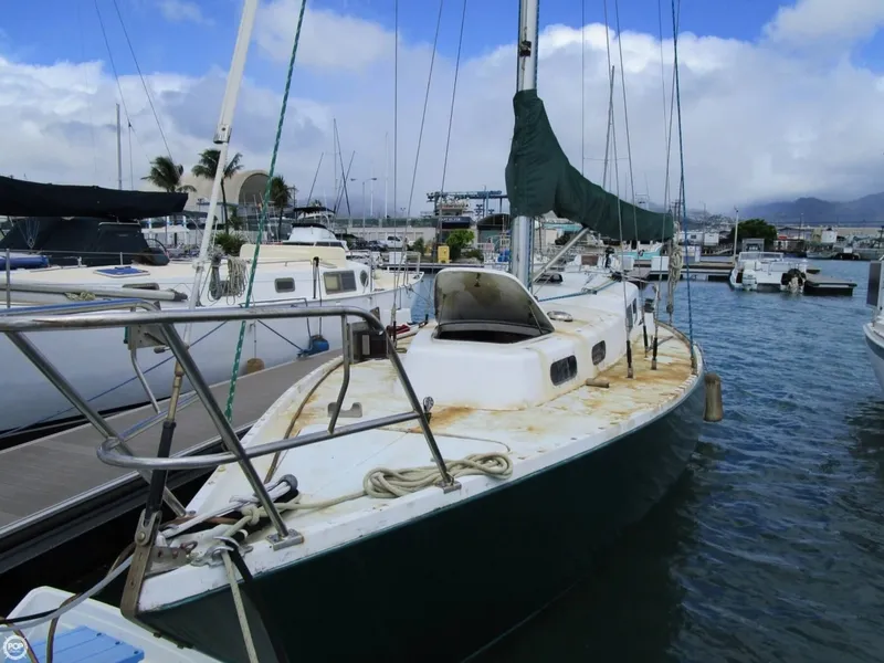 Slide: The Image of Albin Singoalla 33 1970 - 7