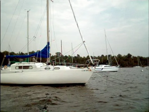 Slide: The Image of Albin Vega 1971 - 2