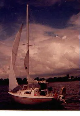 Slide: The Image of Pearson 26 1979 - 1