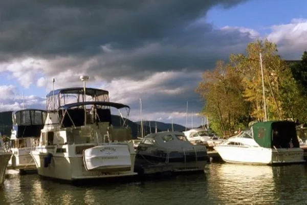 Slide: The Image of Chris-Craft 362 DCFB 1987 - 7