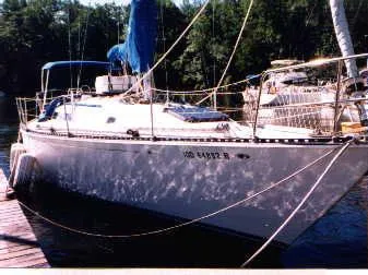 Slide: The Image of C&C 40 1981 - 0