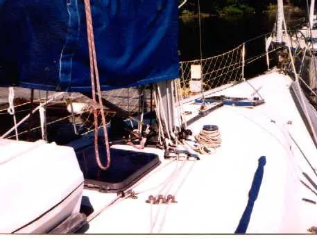 Slide: The Image of C&C 40 1981 - 3