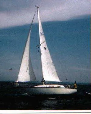 Slide: The Image of Hunter 33 1977 - 1