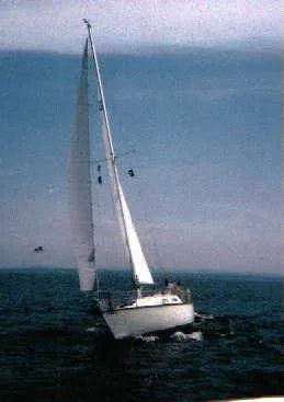 Slide: The Image of Hunter 33 1977 - 2