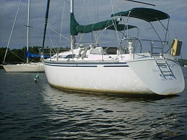 Slide: The Image of Hunter 31 1987 - 1