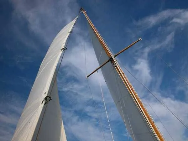 Slide: The Image of Seafarer Tripp 30 1963 - 11