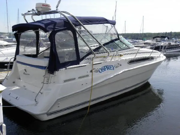 Slide: The Image of Cruisers 2870 Rogue 1994 - 0