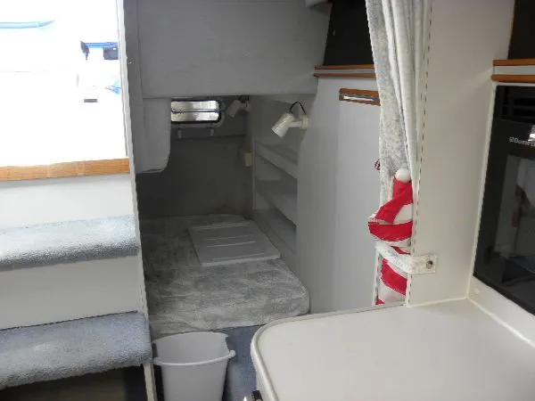 Slide: The Image of Cruisers 2870 Rogue 1994 - 5