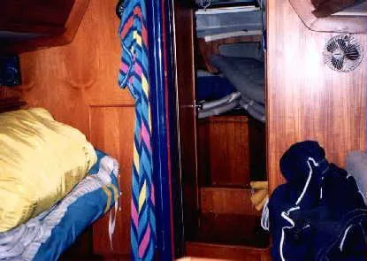 Slide: The Image of Wiggers Peterson 37 1985 - 3
