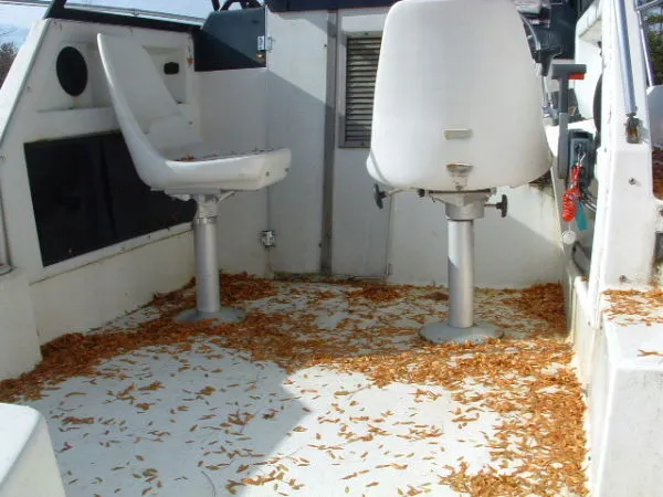 Slide: The Image of Bayliner 2002 Trophy 1994 - 11