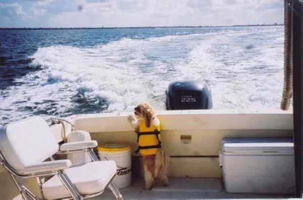 Slide: The Image of Parker Marine 2320 SL Sport Cabin 2006 - 5