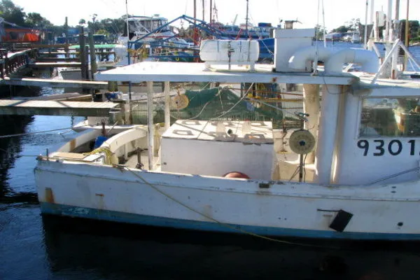 Slide: The Image of Morgan 36 Longliner 1984 - 1