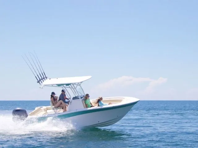 The Image of Sea Fox 226 Commander 2019 - 1