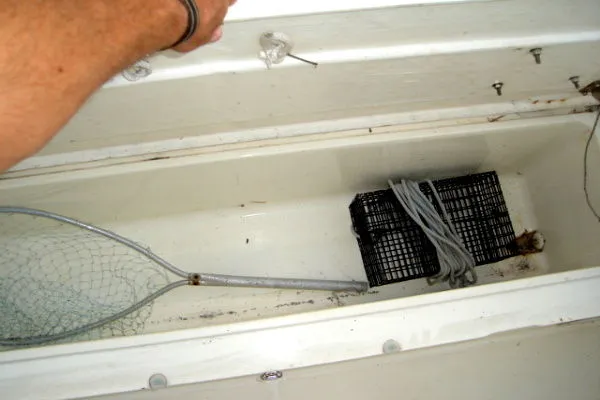 Slide: The Image of Sea Cat CENTER CONSOLE 1997 - 9
