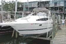 Slide: The Image of Bayliner Cruiser 1995 - 0