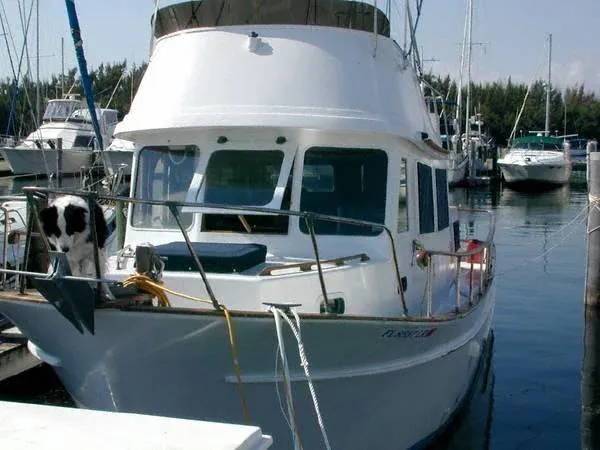 Slide: The Image of Marine Trader 34 Trunk 1976 - 0