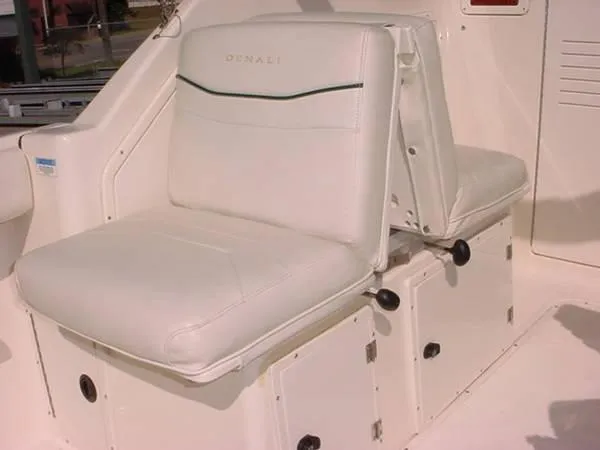 Slide: The Image of Pursuit 2460 Denali 1998 - 5
