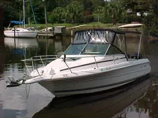 Slide: The Image of Sea Ray Laguna 1992 - 4