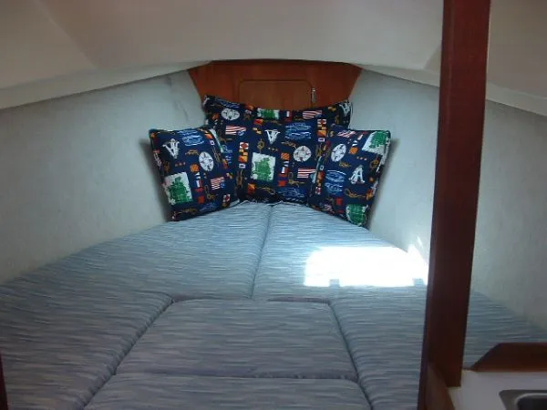 Slide: The Image of Quickstep 24 1987 - 7