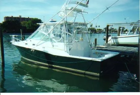 Slide: The Image of Cabo Sportfish 1999 - 0