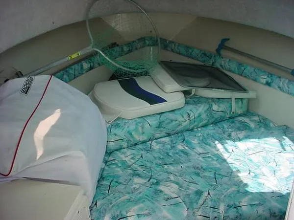 Slide: The Image of Seaswirl Stripper 1998 - 6