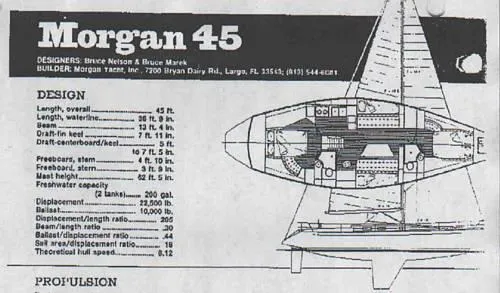 Slide: The Image of Morgan NELSON MAREK 454 1984 - 2