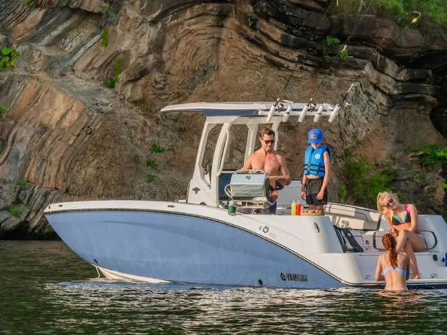 Slide: The Image of Yamaha 252 FSH Sport 2025 - 3